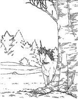 coloriage licorne derriere l arbre